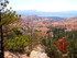 Mardi 24 mai, Bryce Canyon Nat