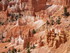 Mardi 24 mai, Bryce Canyon Nat