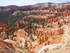 Mardi 24 mai, Bryce Canyon Nat