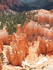 Mardi 24 mai, Bryce Canyon Nat