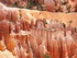 Mardi 24 mai, Bryce Canyon Nat