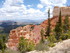 Mardi 24 mai, Bryce Canyon Nat