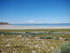 Jeudi 26 mai, Antelope Island 