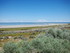 Jeudi 26 mai, Antelope Island 