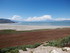 Jeudi 26 mai, Antelope Island 