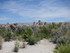 Mardi 31 mai, June Lake Loop e