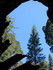 Jeudi 2 juin, Sequoia National