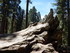 Jeudi 2 juin, Sequoia National