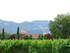 Samedi 4 juin, de Sonoma Valle