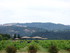 Samedi 4 juin, de Sonoma Valle