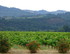 Samedi 4 juin, de Sonoma Valle