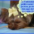 je t'attends !!!!!! je t'adore