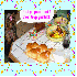 la journée d'anniversaire ! h