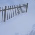 Au lendemain de la tempête..