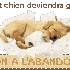L'abandon