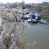 Port de Meschers sous le givre