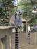Zoo de la Palmyre royan ( juin