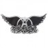 ~~°°° Aerosmith °°°~~