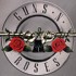 ~~°°° Guns And Roses °°°~~