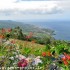 ~~°°° L' Archipel Des Açores °°°~~