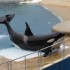 MARINELAND...
