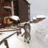 A LA MONTAGNE....promenades et