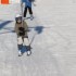 LA MONTAGNE..(fin) LE SKI