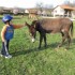 CA FAISAIT LONGTEMPS!