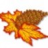 C'est l'automne....