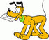 W.END ENSOLEILLE ET BIEN CHARG