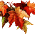 AUTOMNE..
