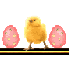 JOYEUSES PAQUES!