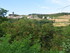 EN ARDECHE...