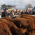 FOIRE SAINT DENIS