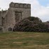 BALADE  PARMI  LES RHODODENDRO