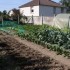 MON JARDIN  MON PASSE TEMPS  M