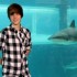 Justin et les animaux aquatiqu