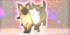 chats