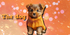 The dog