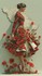 Ohhh les coquelicots!!!!!!!!!!!!!