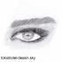 dessins