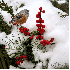 un petit oiseau sous la neige 