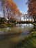 Le Canal du midi à l'Automne