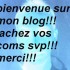 bienvenue sur mon blog