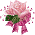 images fleur (rose)