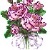 images fleur (rose)