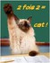 A l'école des chats