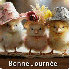 Bien chapeautés