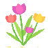 Le marchand de tulipes