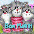 NE REGARDE PAS !